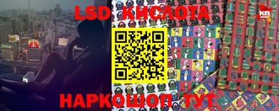 стаф Кандалакша