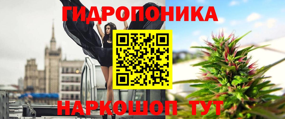 ГАШ Отрадный